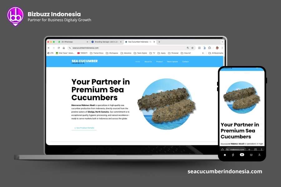 pembuatan website ekspor seacucucmber.com