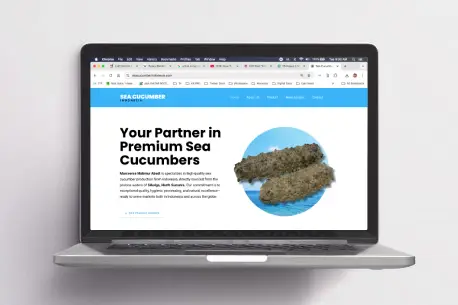 Sea Cucumber Indonesia